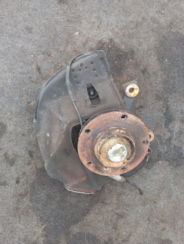 Цапфа