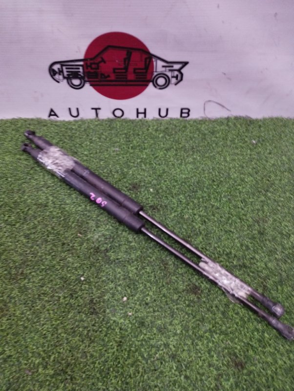 Амортизатор капота (торсион)
